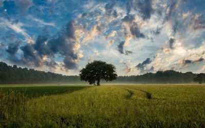 Der Himmel ist kein Ort, sondern ein Zustand